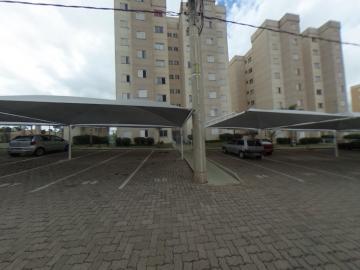 Alugar Apartamento / Padrão em São Carlos R$ 920,00 - Foto 47 Alugar Apartamento / Padrão em São Carlos R$ 920,00 - Foto 47