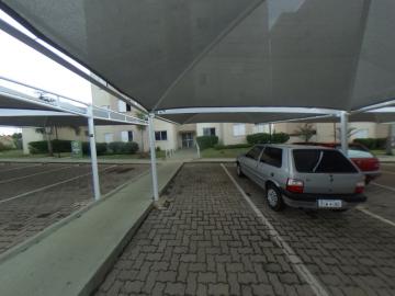 Alugar Apartamento / Padrão em São Carlos R$ 920,00 - Foto 48 Alugar Apartamento / Padrão em São Carlos R$ 920,00 - Foto 48