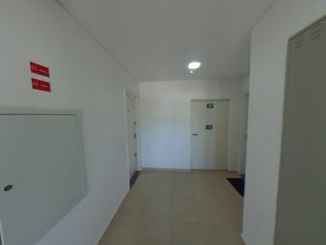 Alugar Apartamento / Padrão em São Carlos R$ 920,00 - Foto 42 Alugar Apartamento / Padrão em São Carlos R$ 920,00 - Foto 42
