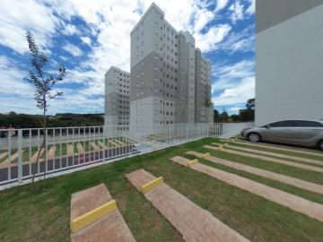 Alugar Apartamento / Padrão em São Carlos R$ 778,00 - Foto 17 Alugar Apartamento / Padrão em São Carlos R$ 778,00 - Foto 17