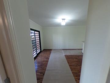 Alugar Apartamento / Padrão em São Carlos R$ 1.300,00 - Foto 11 Alugar Apartamento / Padrão em São Carlos R$ 1.300,00 - Foto 11