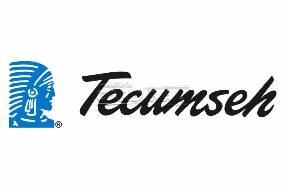Logo Tecumseh