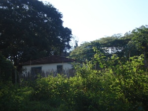 imagem 2 - Rural - Sítio imagem 2 - Rural - Sítio