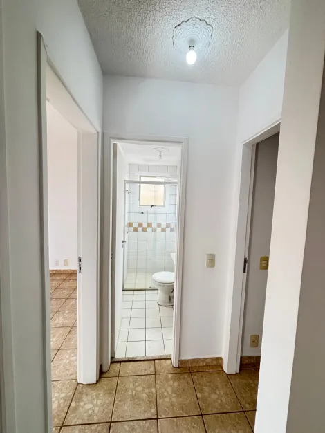 imagem 4 - Apartamento - Padrão imagem 4 - Apartamento - Padrão