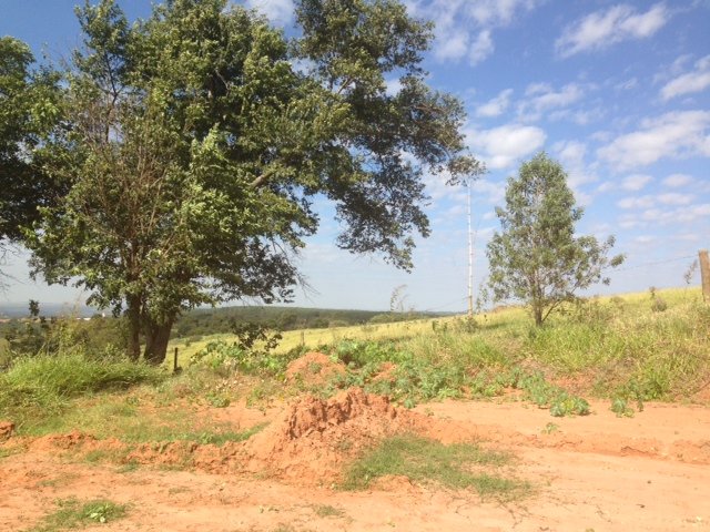 Sao Carlos Area Rural de Sao Carlos Rural Venda R$33.500.000,00 
