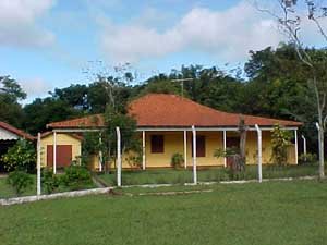 Alugar Rural / Área em São Carlos. apenas R$ 4.000.000,00