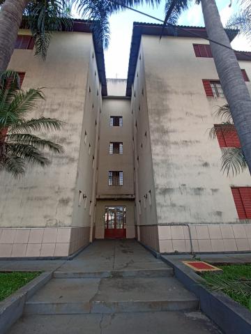 Apartamento Flat com 1 dormitório no Jardim Santa Paula próximo a USP em São Carlos