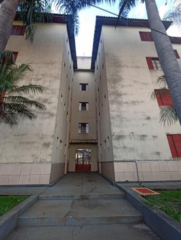 imagem 4 - Apartamento Flat com 1 dormitório no Jardim Santa Paula próximo a USP em São Carlos imagem 4 - Apartamento Flat com 1 dormitório no Jardim Santa Paula próximo a USP em São Carlos
