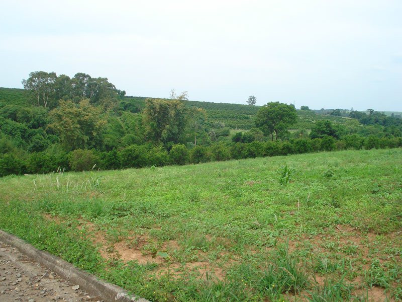 Limeira Lopez Terreno Venda R$1.350.000,00  Area do terreno 20146.89m2 