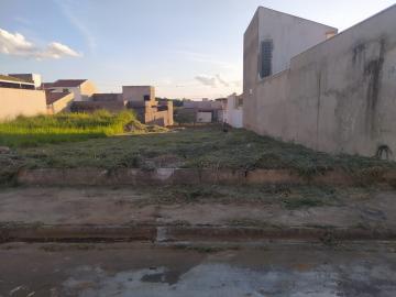 imagem 1 - Terreno - Padrão imagem 1 - Terreno - Padrão