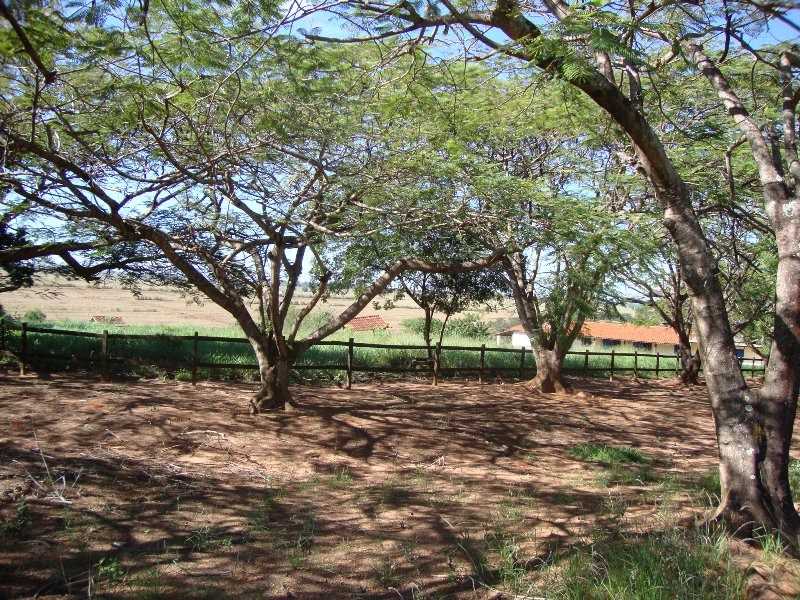 imagem 3 - Rural - Sítio imagem 3 - Rural - Sítio