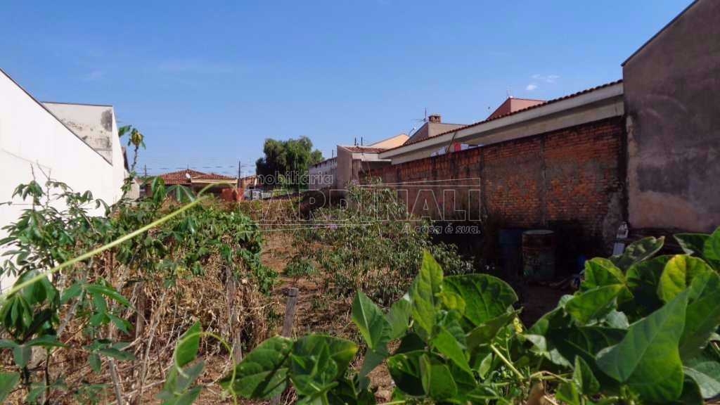 imagem 3 - Terreno - Padrão imagem 3 - Terreno - Padrão