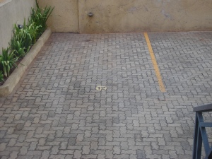 imagem 5 - Apartamento - Padrão imagem 5 - Apartamento - Padrão