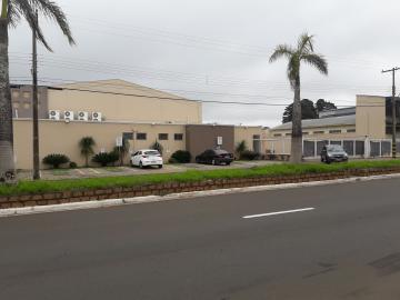 imagem 2 - Galpão Comercial no Jardim São Paulo próximo ao Ginásio Milton Olaio Filho em São Carlos imagem 2 - Galpão Comercial no Jardim São Paulo próximo ao Ginásio Milton Olaio Filho em São Carlos