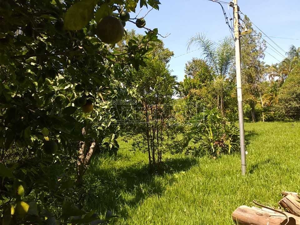 imagem 5 - Chácara na Rod. Eng. Thales de Lorena Peixoto Júnior em São Carlos imagem 5 - Chácara na Rod. Eng. Thales de Lorena Peixoto Júnior em São Carlos