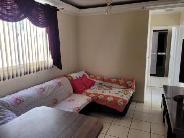 imagem 3 - Apartamento com 3 dormitórios na Vila Monteiro em São Carlos imagem 3 - Apartamento com 3 dormitórios na Vila Monteiro em São Carlos