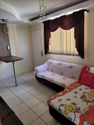imagem 5 - Apartamento com 3 dormitórios na Vila Monteiro em São Carlos imagem 5 - Apartamento com 3 dormitórios na Vila Monteiro em São Carlos