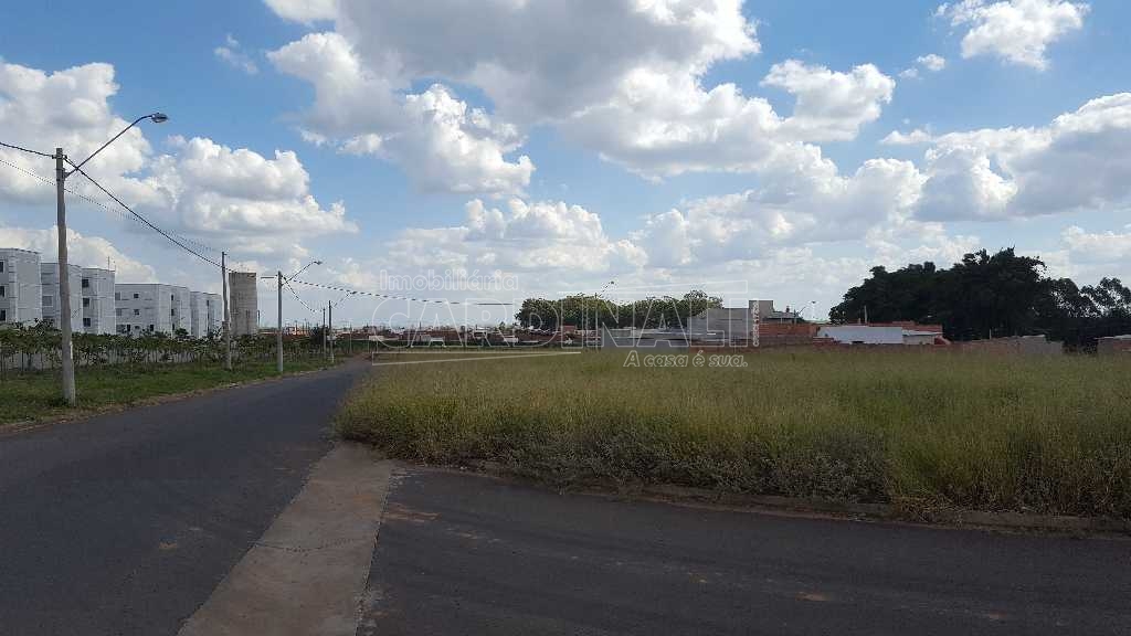 imagem 2 - Terreno - Padrão imagem 2 - Terreno - Padrão