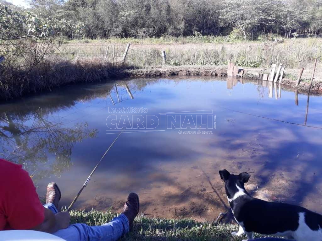 imagem 1 - Rural - Sítio imagem 1 - Rural - Sítio
