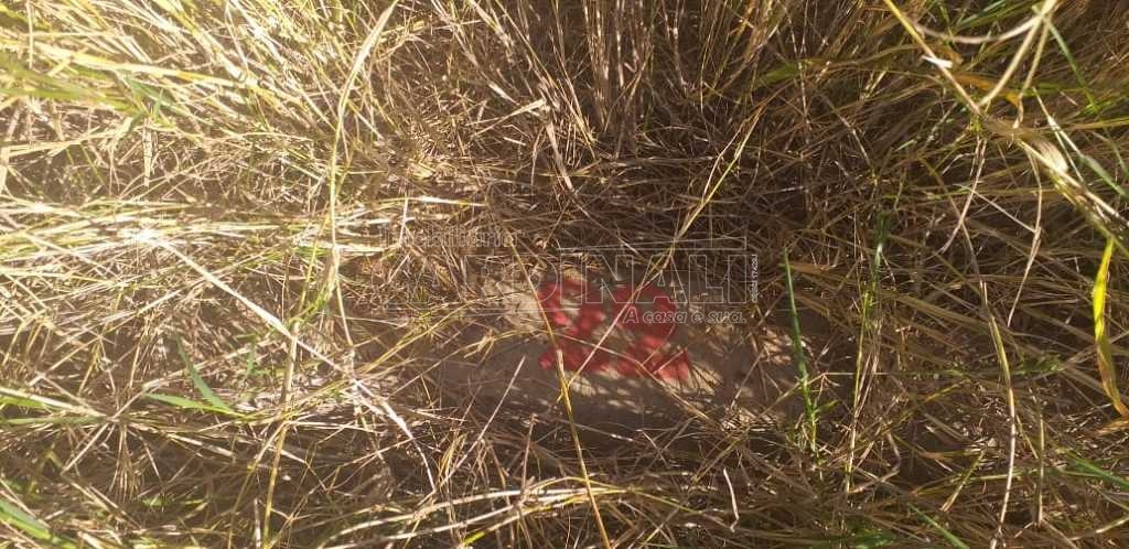 imagem 1 - Terreno - Padrão imagem 1 - Terreno - Padrão