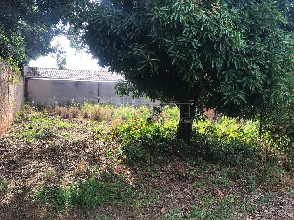 imagem 5 - Terreno no Jardim Nova São Carlos próximo a Padaria Cantador em São Carlos imagem 5 - Terreno no Jardim Nova São Carlos próximo a Padaria Cantador em São Carlos
