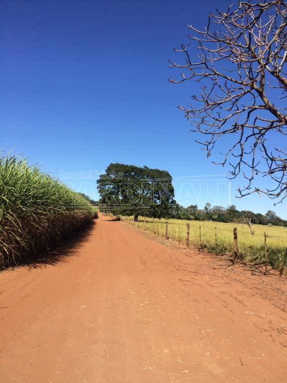 imagem 4 - Rural - Área imagem 4 - Rural - Área