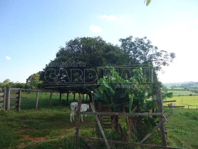 imagem 3 - Rural - Sítio imagem 3 - Rural - Sítio