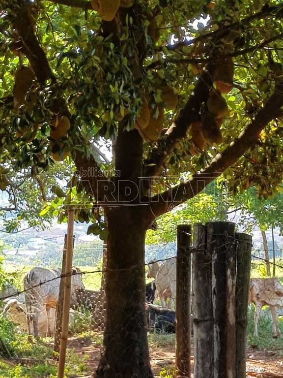 imagem 1 - Rural - Chácara imagem 1 - Rural - Chácara