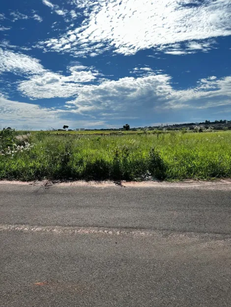 imagem 3 - Rural - Área imagem 3 - Rural - Área