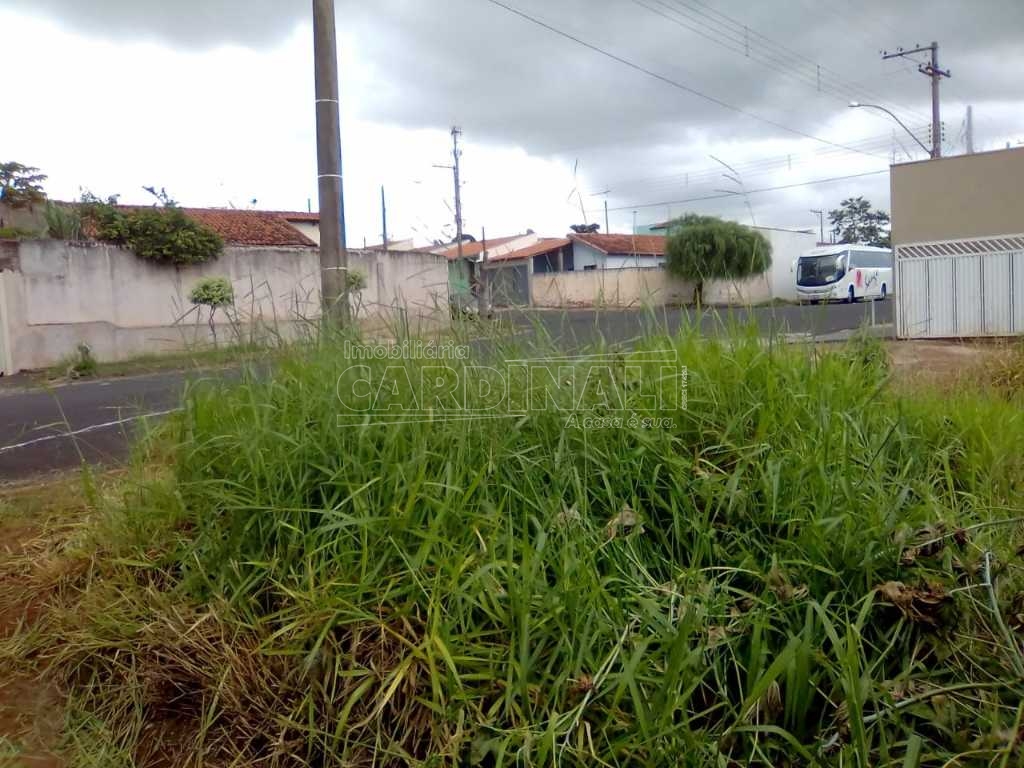 imagem 1 - Terreno - Padrão imagem 1 - Terreno - Padrão