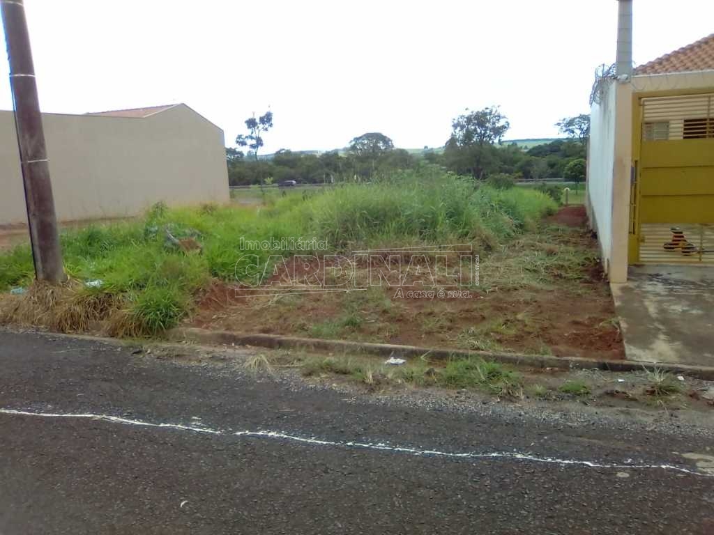 imagem 4 - Terreno - Padrão imagem 4 - Terreno - Padrão