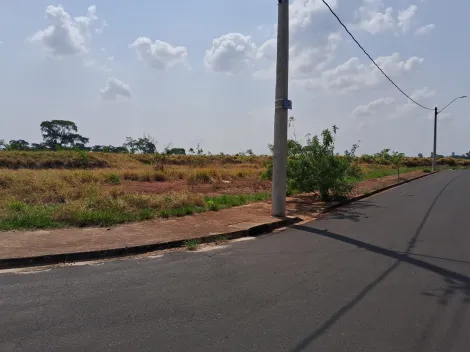 imagem 5 - Terreno - Padrão imagem 5 - Terreno - Padrão
