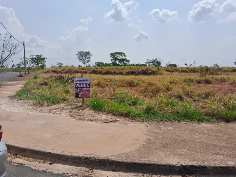 imagem 3 - Terreno - Padrão imagem 3 - Terreno - Padrão
