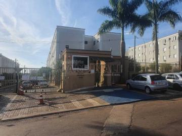 Alugar Apartamento / Padrão em Araraquara. apenas R$ 165.000,00