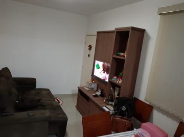 imagem 3 - Apartamento - Padrão imagem 3 - Apartamento - Padrão