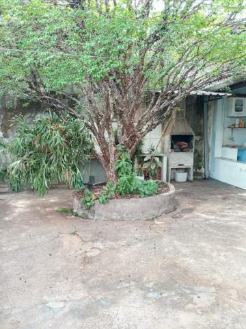 imagem 2 - Terreno - Padrão imagem 2 - Terreno - Padrão