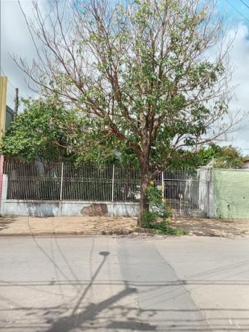 imagem 1 - Terreno - Padrão imagem 1 - Terreno - Padrão