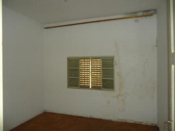imagem 5 - Casa - Padrão imagem 5 - Casa - Padrão
