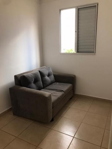 imagem 3 - Apartamento - Padrão imagem 3 - Apartamento - Padrão
