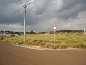 imagem 1 - Terreno - Padrão imagem 1 - Terreno - Padrão