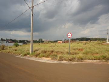 Alugar Terreno / Padrão em São Carlos. apenas R$ 192.000,00