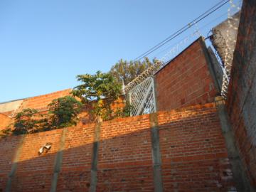 imagem 5 - Casa - Padrão imagem 5 - Casa - Padrão