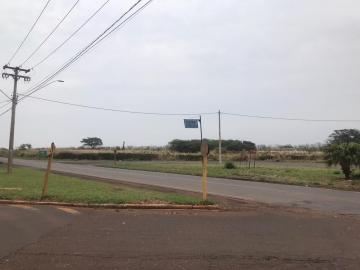 imagem 4 - Rural - Área imagem 4 - Rural - Área