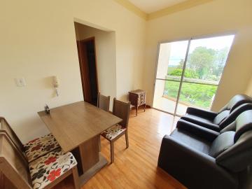 imagem 3 - Apartamento - Padrão imagem 3 - Apartamento - Padrão