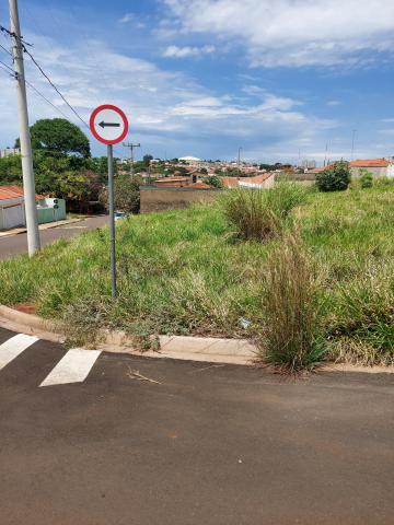 Alugar Terreno / Padrão em São Carlos. apenas R$ 235.000,00