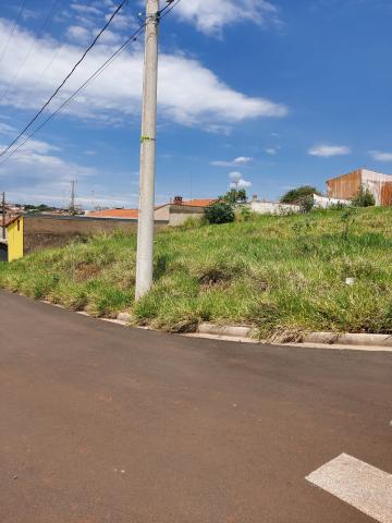 imagem 2 - Terreno - Padrão imagem 2 - Terreno - Padrão