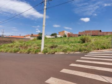 imagem 3 - Terreno - Padrão imagem 3 - Terreno - Padrão