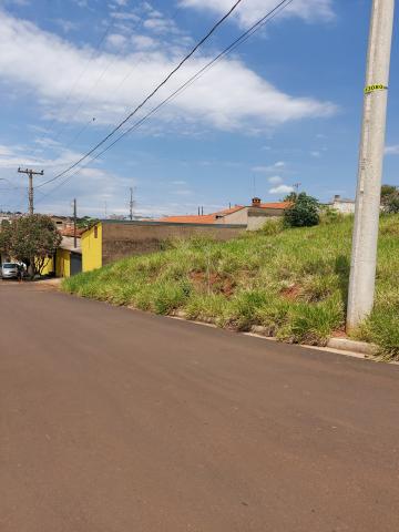 imagem 4 - Terreno - Padrão imagem 4 - Terreno - Padrão