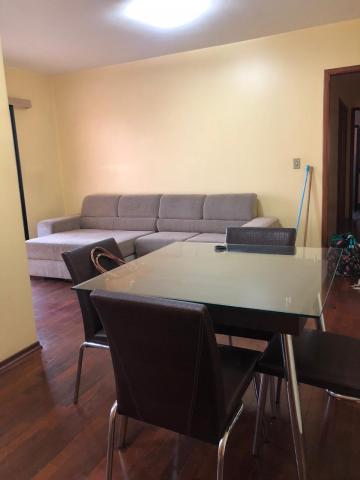 imagem 3 - Apartamento - Padrão imagem 3 - Apartamento - Padrão