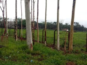 imagem 5 - Terreno - Área imagem 5 - Terreno - Área